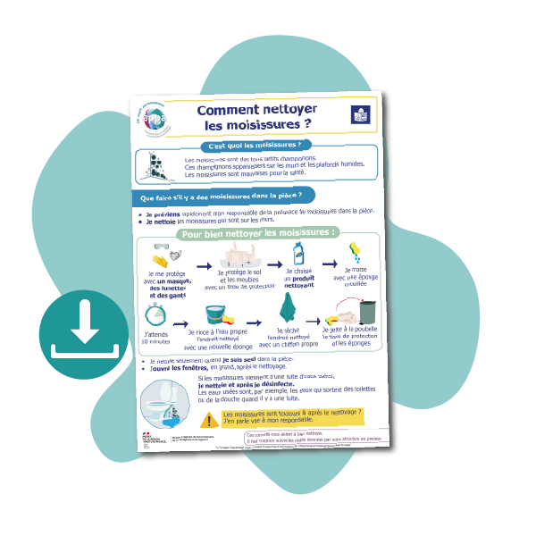 04 FALC - Les moisissures APPA