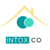 logo intox C O